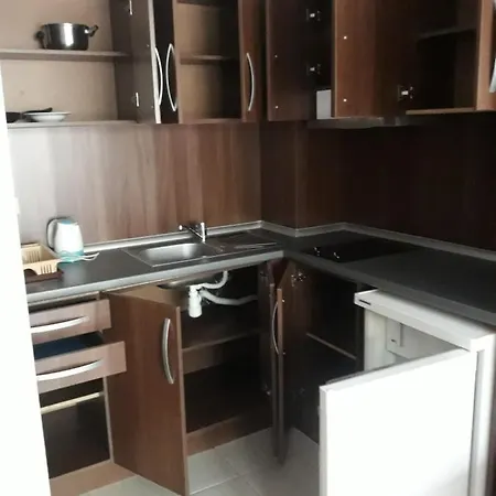 Апарт Хотел Пасифик 3 דירה